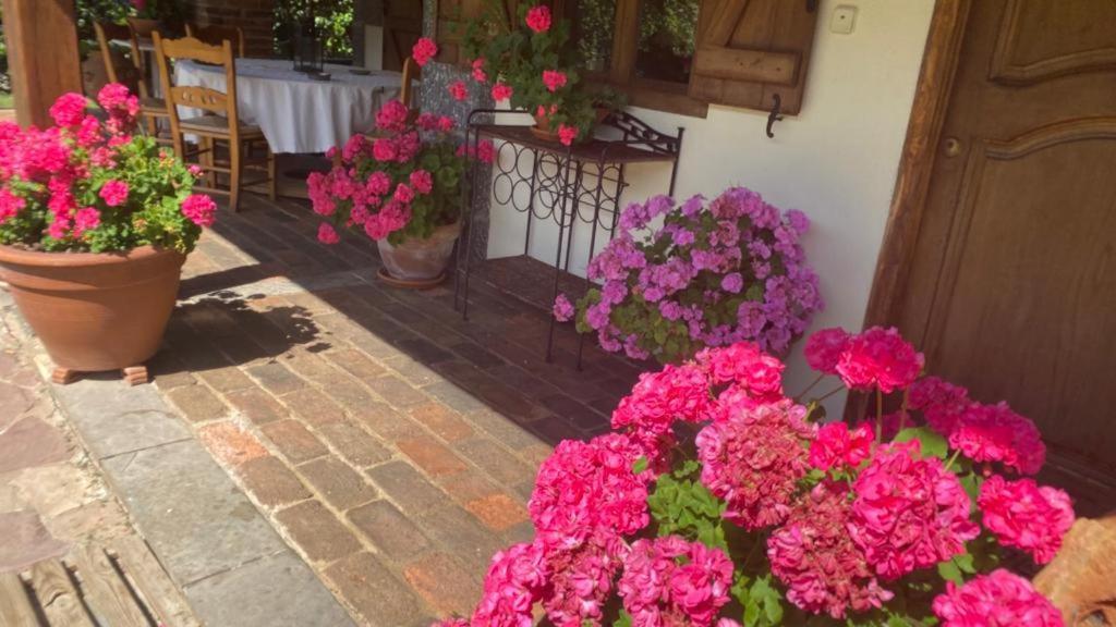 Excepcional Casa El Olivo Villa Ojedo Eksteriør bilde